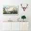 American Swan by John Audubon - Wrapped Canvas Painting-55368527
