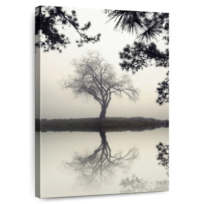 Harnek Winter Willow