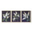 Série d'étude florale Lxxix - lot de 3 estampes numériques - prêt à être accroché-107268326-107268327