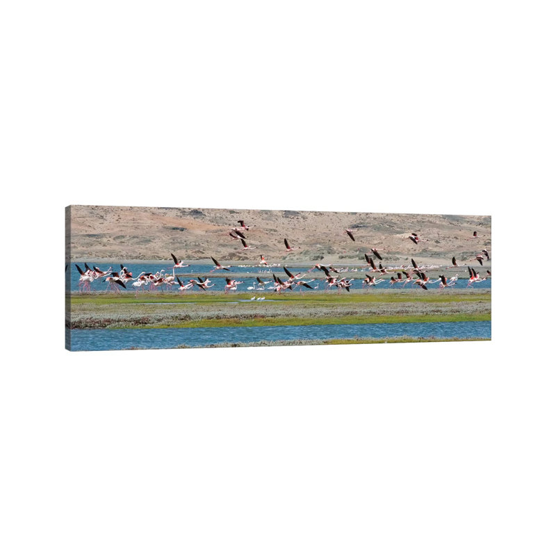 Flamingos, Luderitz Bay, Karas Region, Namibia by Keren Su - Wrapped Canvas Panoramic Print