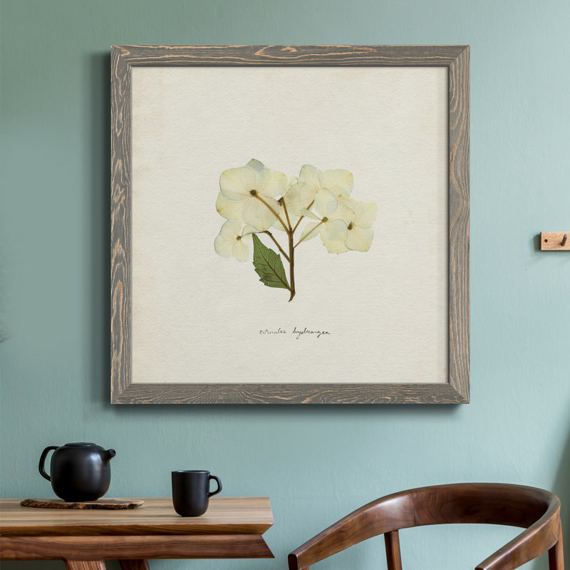 Cornales Hydrangea I-Premium, toile tendue avec cadre - prête à être accrochée, Cadre gris, H 17 po x l 17 po x P 1,5 po