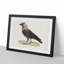 Western Jackdaw by Von Wright - Picture Frame Painting Print-55612443-55612448