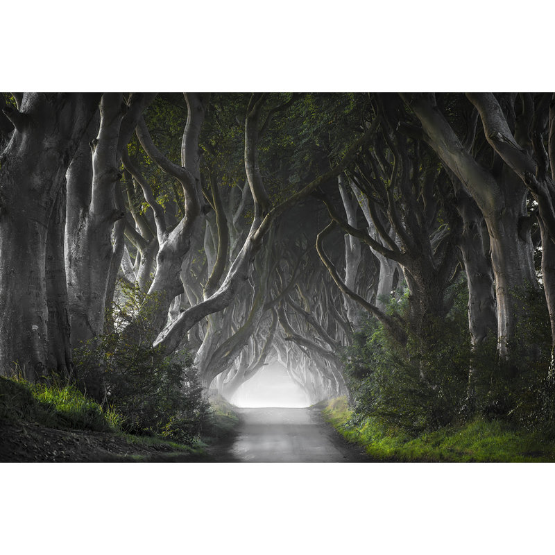 Wrapped Canvas Print, 50.8 cm H x 76.2 cm W