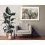 Cactus Sun-971416905-971416904
