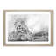 Leopard Resting - Picture Frame Photograph Print-56633103-56633104