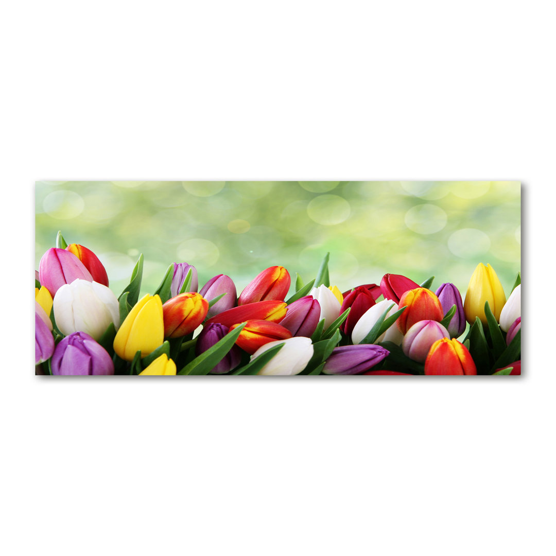 Bunte Tulpen - Ungerahmte Fotografie auf Leinwand