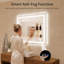 Miroir de salle de bain à DEL intelligent l 40 po x H 32 po avec fonction anti-buée, mémoire et IP44