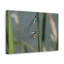 No Frame Print on Canvas-274048006