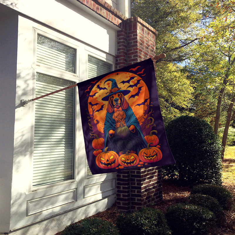 Janadia Double Sided Polyester Halloween Garden Flag, 40" x 28"