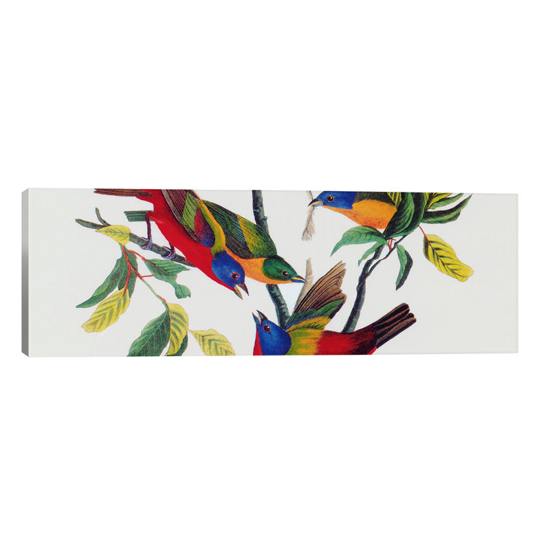 Painted Bunting by John Audubon - Panoramic Painting on Canvas, Wrapped Canvas, 30.48 cm H x 91.44 cm W x 1.91 cm D