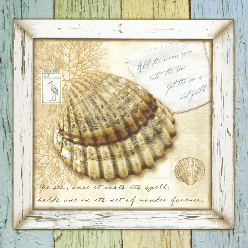 Sea Treasures V - Wrapped Canvas Print, 30cm H x 30cm W x 3.8cm D