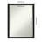 Hoyer Flat Wall Mirror-69314192-69314193