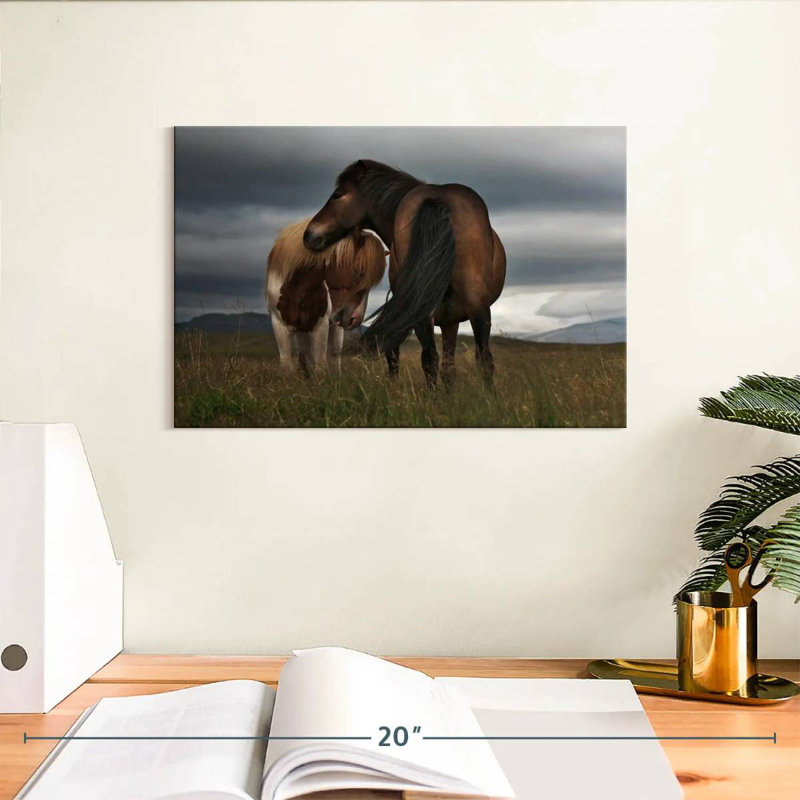 Poney gratuit Brampt, H 8 po x l 12 po