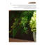 Décoration de verdure artificielle légère de luxe