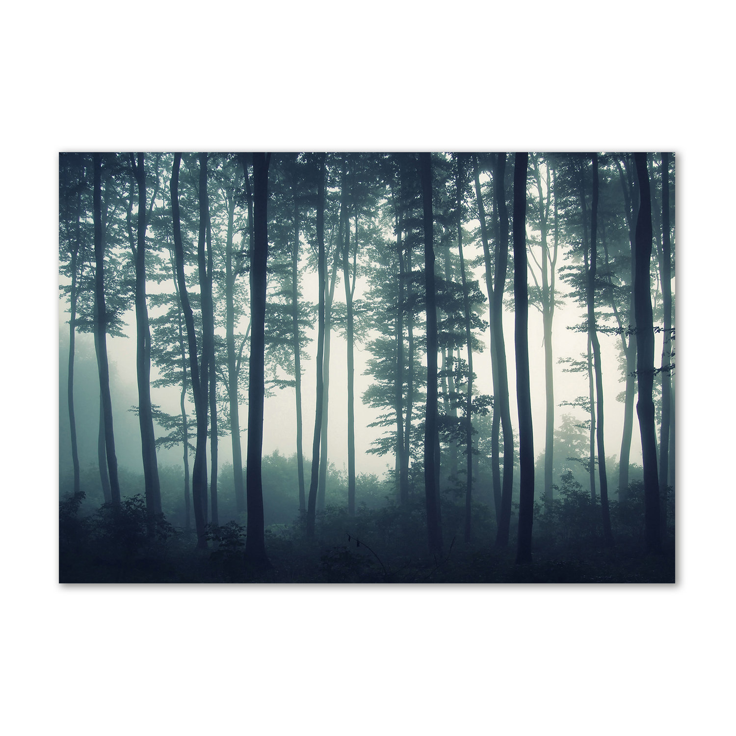 Union Rustic Forest in the Fog - Wrapped Canvas Art Prints | Wayfair.co.uk