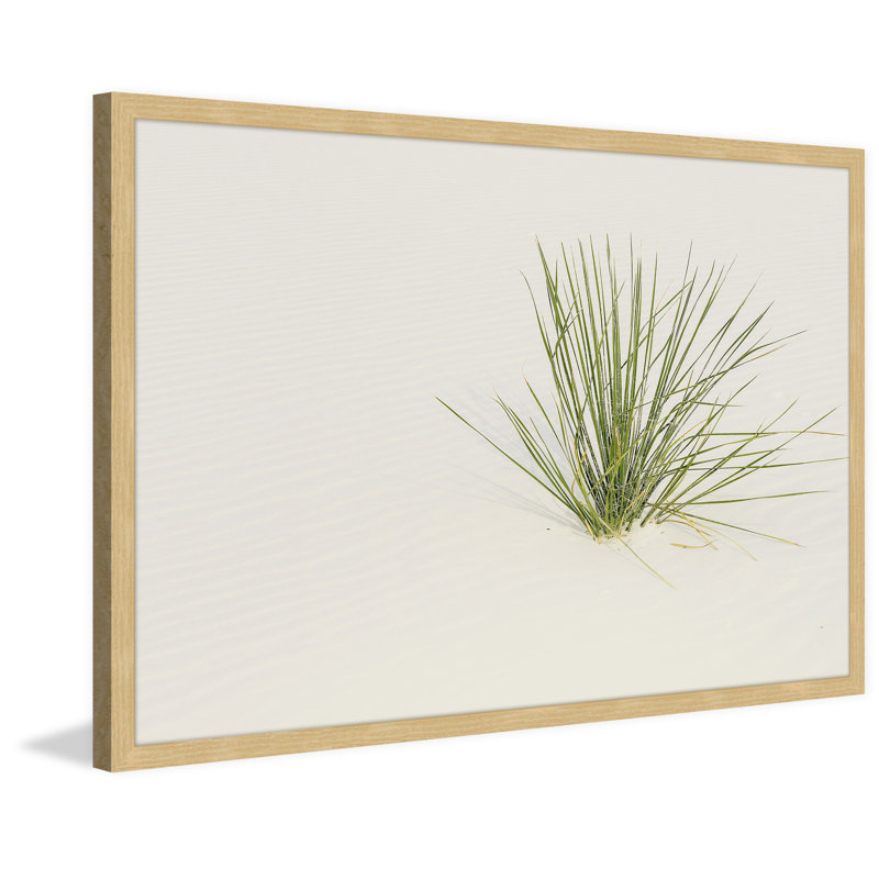 « vie inattendue », reproduction de photo encadrée, 20 po x 30 p