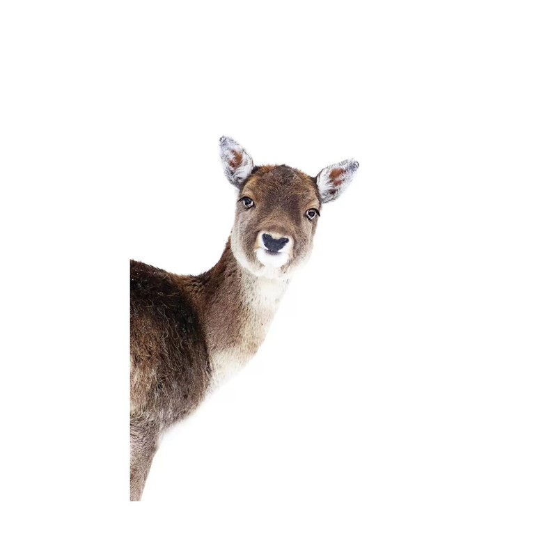 Deer Peekaboo by Monika Strigel - Wrapped Canvas Print, 20.32 cm H x 30.48 cm W