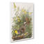 Meadow Larks by John Audubon - Wrapped Canvas-55362702