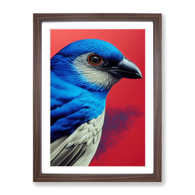 Splendid Bird - Wall Art, 34cm H x 25cm W x 2cm D, Walnut Framed