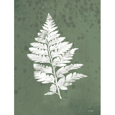 " Fern Botanical II " by House Fenway