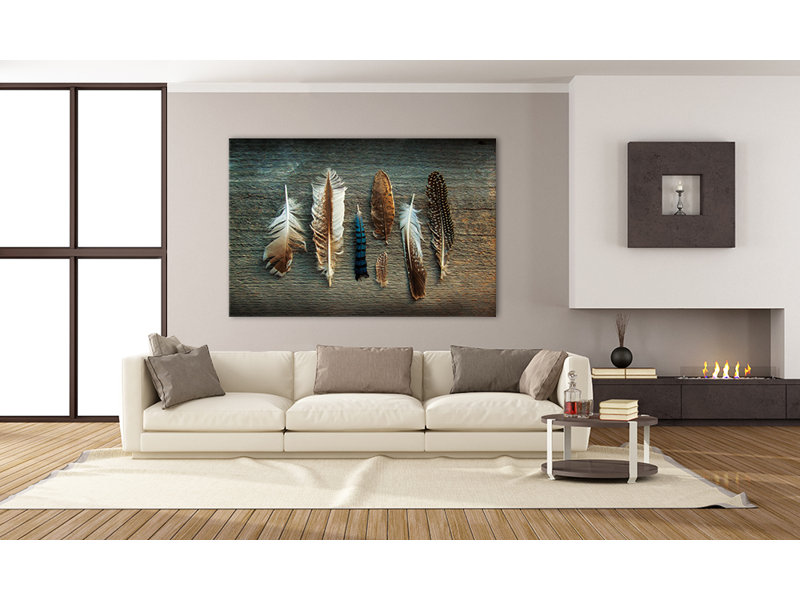 «Feather Collection I» par Sue Schlabach, reproduction d'art graphique sur papier encadrée, Toile, 48 po x 72 po