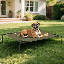 Elevated Dog Bed with Removable Cooling Cushion-801308712-801308713