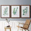 «Freshly Picked I», ensemble de 3 reproductions d'art sur toile-1825290764-1825290763