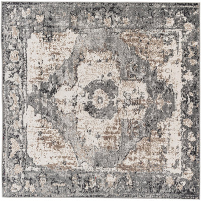 Addisyn Machine Woven Oriental Charcoal Area Rug