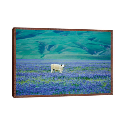 Cows in Lupine III 1 Piece Wall Art on Canvas