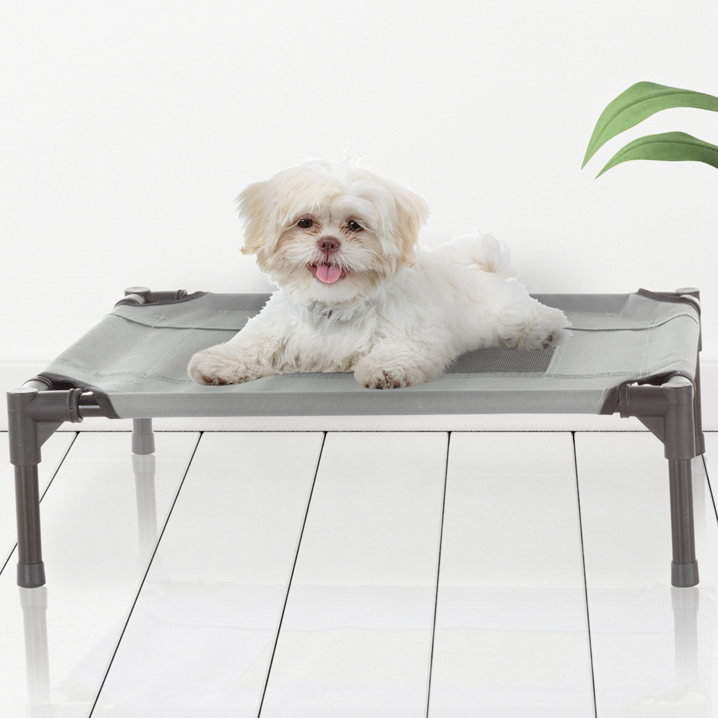 Dog bed cot clearance type