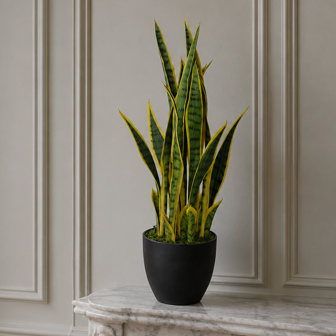 Leaf Artificial Sansevieria Tropical Snake Plant 70cm Faux Sansevieria Tree in Round Pot Liner