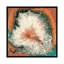 « caldera ii », impression sur toile-72793527-72793525-20825927