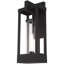1 Light Outdoor Wall Lantern Pendant Fixture with Clear Glass Shade-101230741-101230742