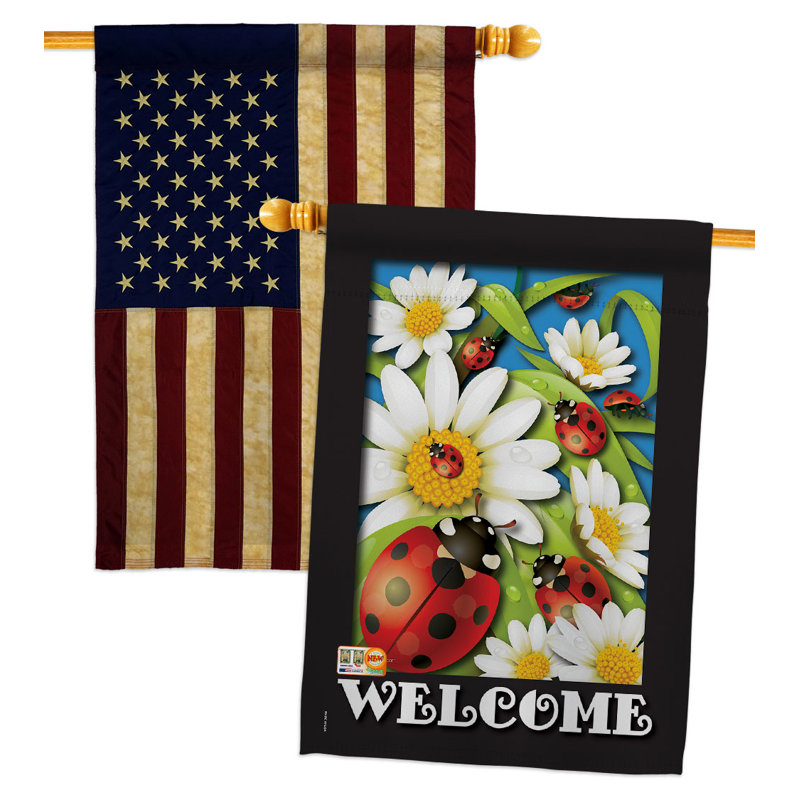 Drapeaux 40 x 28 pi