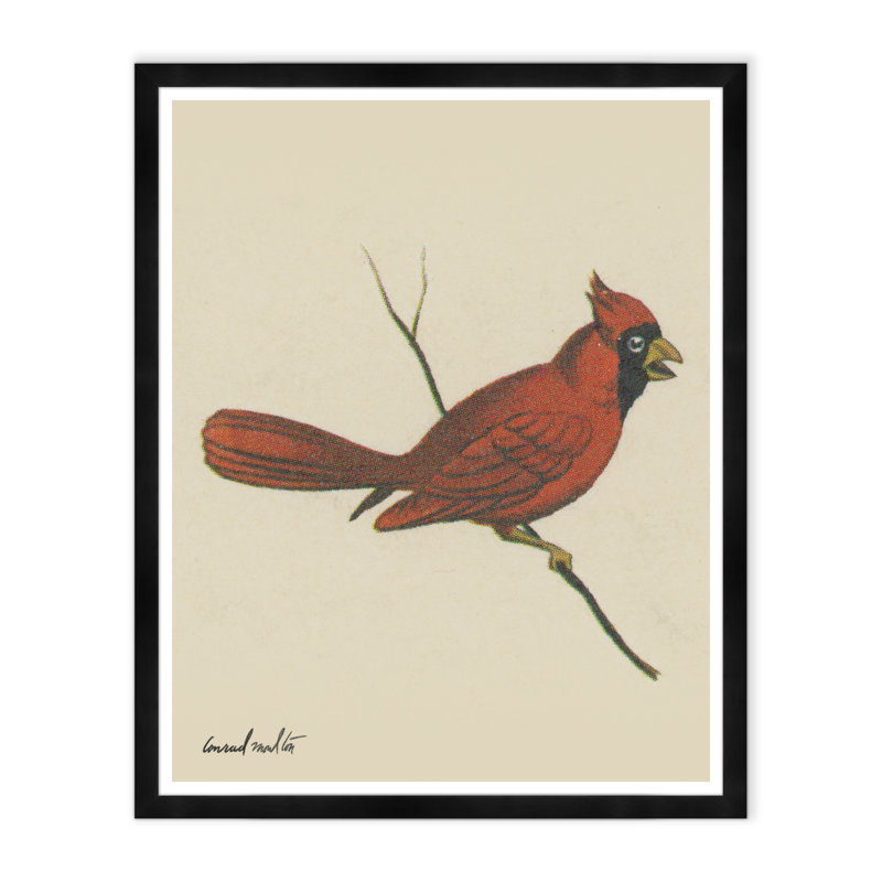 Cardinal Print
