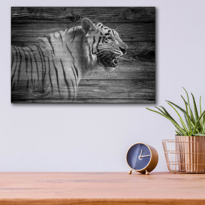 «Woodgrain Antiques Tiger 01» par Gordon Semmens, art mural en verre acrylique