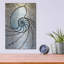 " Shell " by Rita Shimelfarb-1788235264