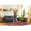 Nghiem Oriental 160cm X 230cm Area Rug