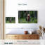 Brampt Grizzly Bear Group-108815746