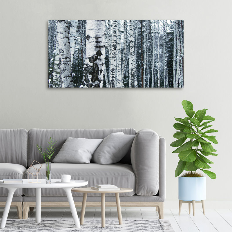 Birch Trees - Wrapped Canvas Print, 50cm H x 100cm W x 2cm D, Canvas