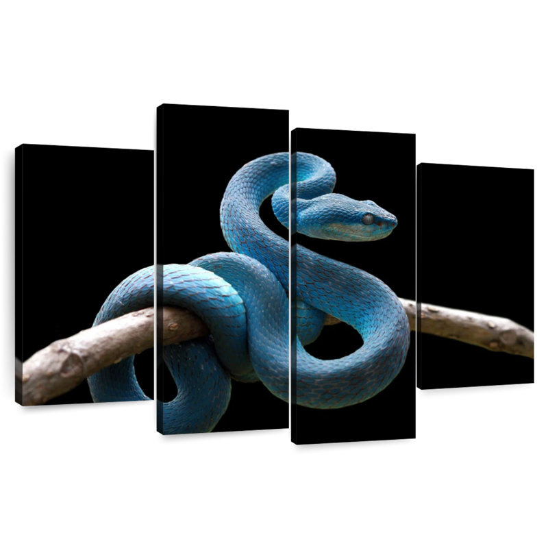 Brampt Blue Viper Snake, 27'' H x 43'' W