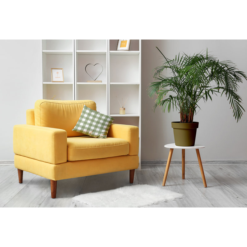 Coussin décoratif à carreaux Gingham, 18 po x 18 po, Oignon vert