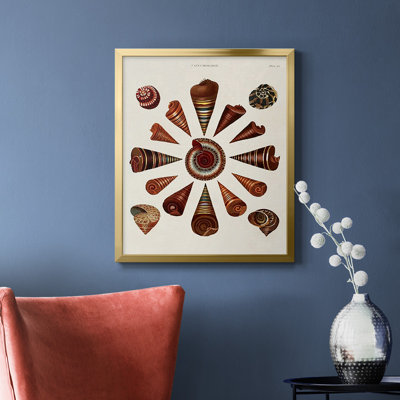 Spiral Shell Formation IV Premium Framed Canvas - Ready to Hang