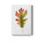 " Fall Leaf Study II "-697010382