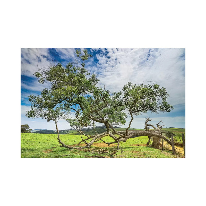 Landscape 21 - Wrapped Canvas Print, 30.48cm H x 45.72cm W x 1.905cm D