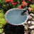 Scallop Shell Birdbath with Tripod Stand