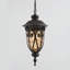 Massey Outdoor Hanging Lantern-21606729