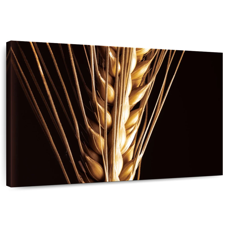Grain d'orge Harnek, H 24 po x l 36 po