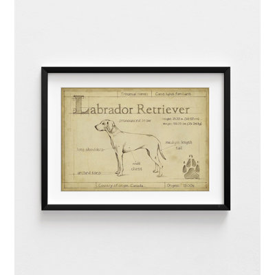 Alay Labrador Retriever Poster Print, Framed Doggo Wall Art, Large Doggo Wall Decor, Vintage Pet Print, Retro Pet Poster, Framed Wall Art