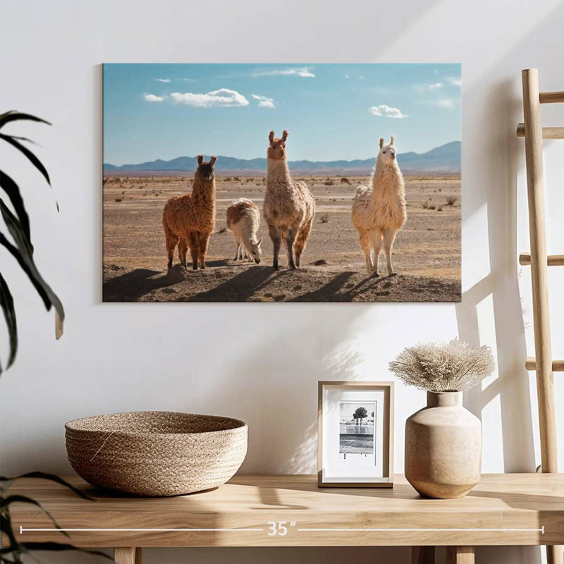 Four Llamas, 16" H x 24" W